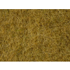 Noch 07101 , Zestaw dzikiej trawy - Beżowa , 6mm/50g